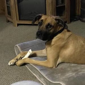 Meet your Posher, Debbie